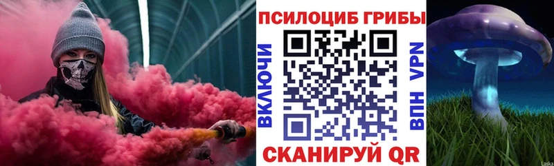 Псилоцибиновые грибы Magic Shrooms  дарк нет состав  Новошахтинск 