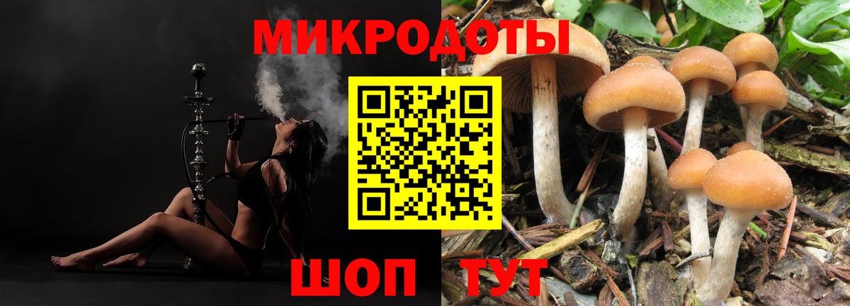 Псилоцибиновые грибы MAGIC MUSHROOMS  Вход с VPN  Новошахтинск  Галлюциногенные грибы мухоморы 