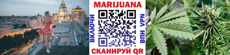 Шишки марихуана план  Новошахтинск 